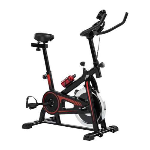 Fortis 22lb Flywheel Spin Bike